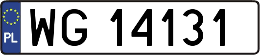 WG14131