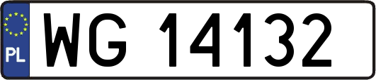 WG14132