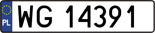 WG14391