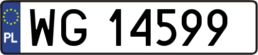WG14599