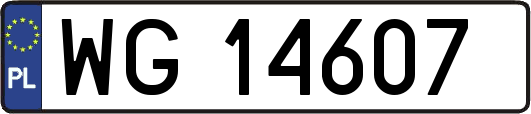 WG14607
