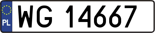 WG14667