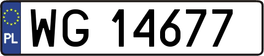 WG14677