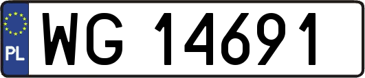 WG14691