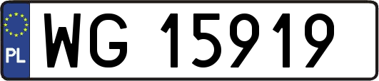 WG15919