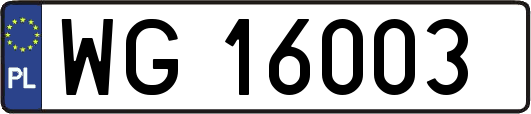 WG16003
