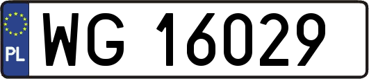 WG16029
