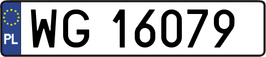 WG16079