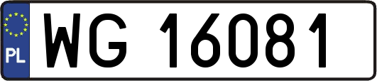 WG16081