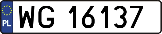 WG16137