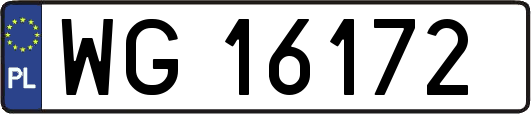 WG16172