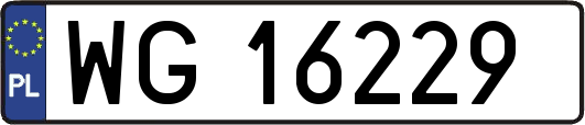 WG16229