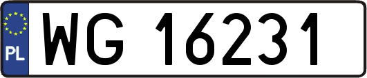 WG16231