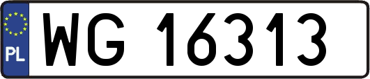 WG16313