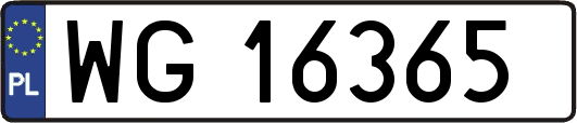 WG16365