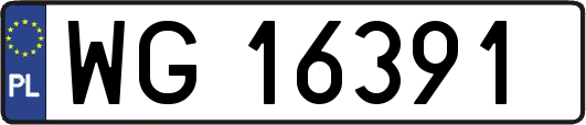 WG16391