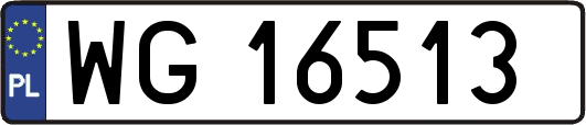 WG16513
