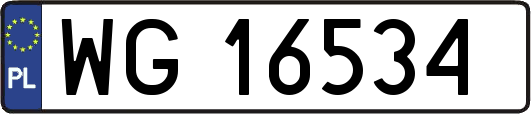 WG16534