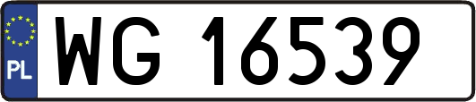 WG16539