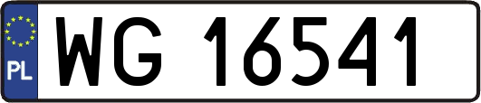 WG16541