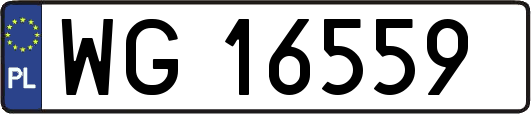 WG16559