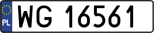 WG16561