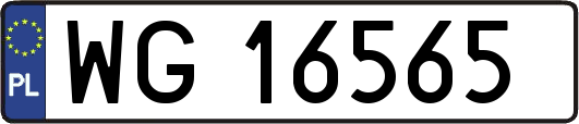 WG16565