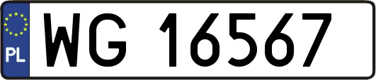 WG16567