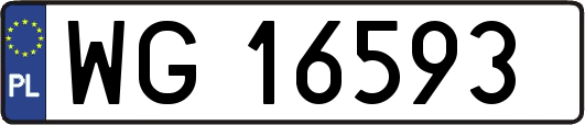 WG16593