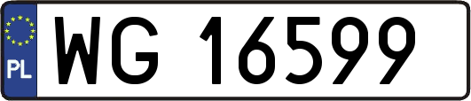 WG16599