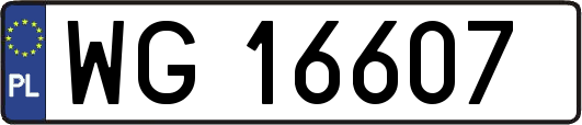 WG16607