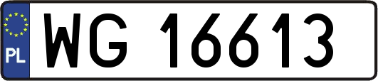 WG16613
