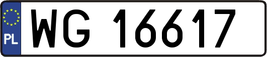 WG16617