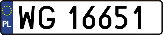 WG16651