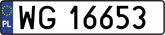 WG16653