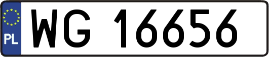 WG16656