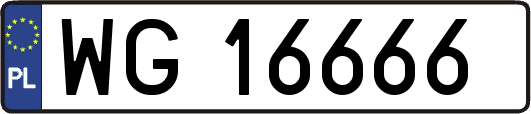 WG16666