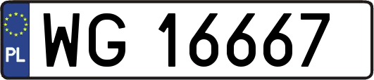 WG16667