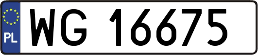 WG16675