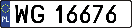 WG16676
