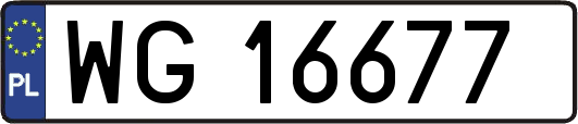 WG16677