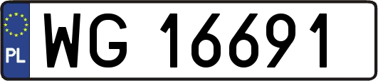 WG16691