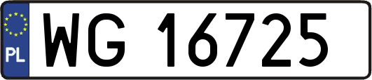 WG16725