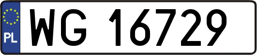 WG16729
