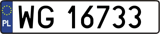 WG16733