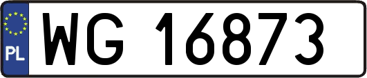 WG16873