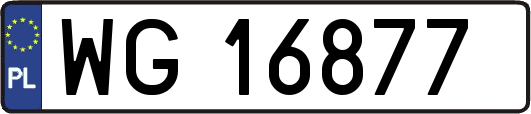 WG16877