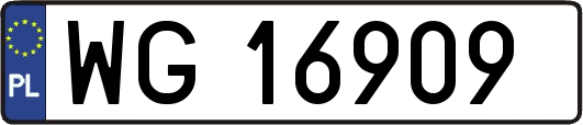 WG16909
