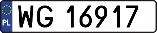 WG16917
