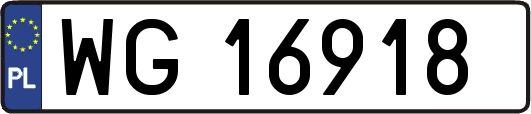 WG16918